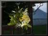 Lych_Gate(3)