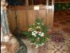 14_Santa_Isabel