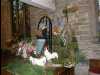 23._2002_Gardener's_World_(Look_Listen)_1