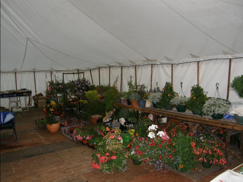 Marquee_2
