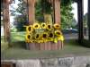 Church_and_Gates_02